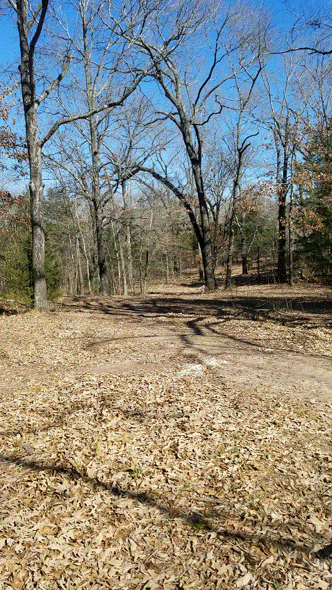 Campground to Bonfire.gif Campground to Bonfire.gif